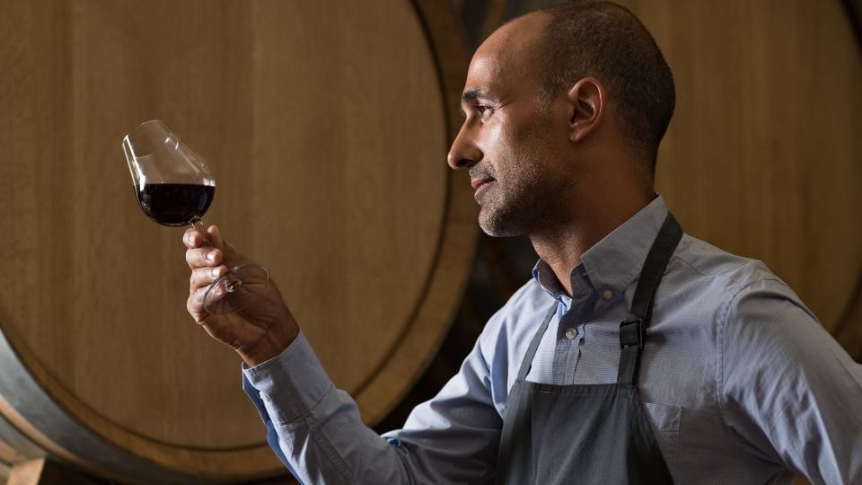 a sommelier holding a wine glass