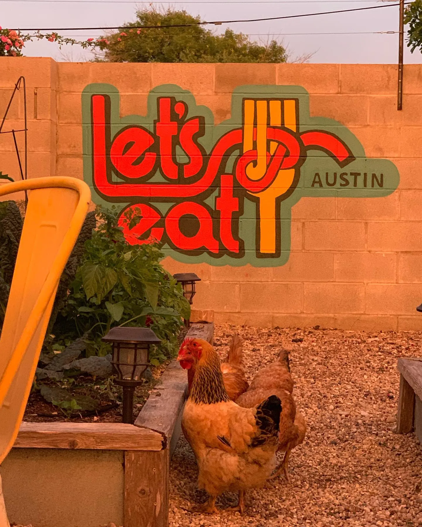 Photo from Let's Eat Austin Culinary Courses