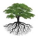 Garden Plaza at Inverrary logo