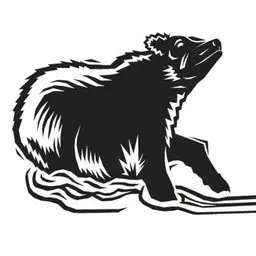 Bear Creek Management logo