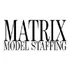 Matrix Model Staffing logo