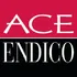 Ace Endico logo