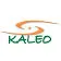 Kaleo Marketing logo