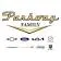 Parkway Family Auto Group logo