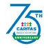 Caritas Family Solutions logo