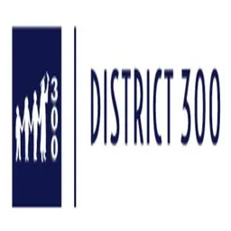 Community Unit School District 300 logo