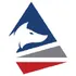 Surefox North America, Inc. logo