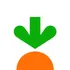 Instacart Shoppers logo