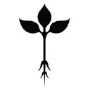 Roots Natural Kitchen logo