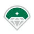 DIAMOND BASEBALL HOLDINGS LLC logo