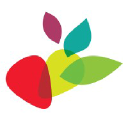 Company Logo or Photo