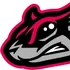 Richmond Flying Squirrels logo