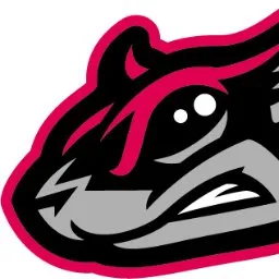 Richmond Flying Squirrels logo