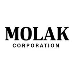 PATRICK S MOLAK CORP logo