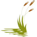 Stoney Brook of Hewitt logo