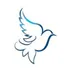 Dove Healthcare logo