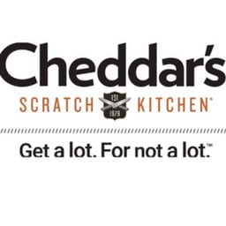 Company Logo or Photo