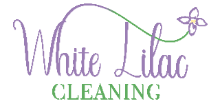 Wiz Cleaners logo