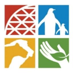 Company Logo or Photo