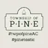 Township of Pine logo
