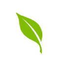 Company Logo or Photo