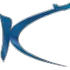 KINGSKY FLIGHT ACADEMY LLC logo