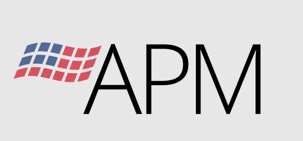 American Property Management logo
