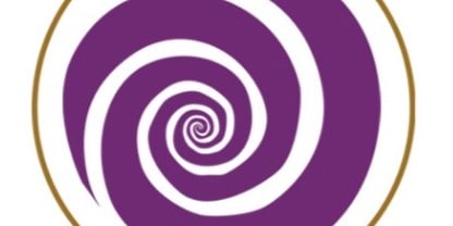 TOUPIE PREMIUM ACAI logo