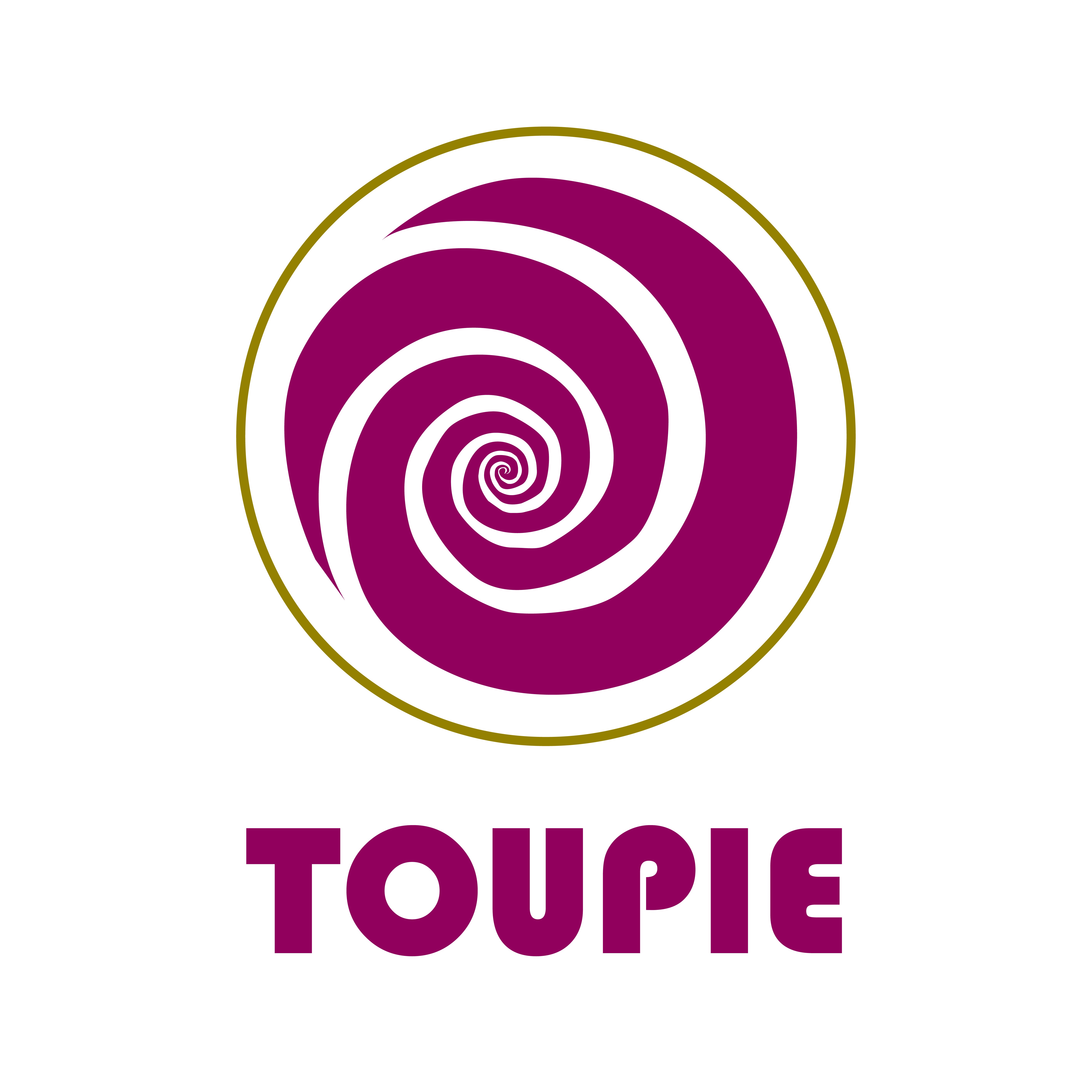 TOUPIE PREMIUM ACAI logo