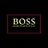 Boss Search Group logo