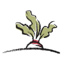 Sugar Mountain logo