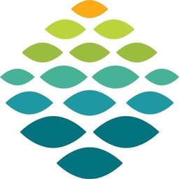 Northern Light Health logo