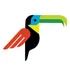 Rainforest Carwash and Oil Change logo