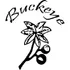 Buckeye logo