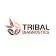 TRIBAL DIAGNOSTICS LLC logo