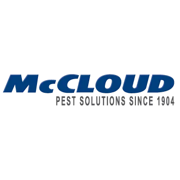 McCloud Services logo
