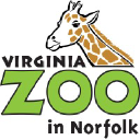 Company Logo or Photo