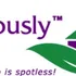 Fabulously Clean House Cleaning logo