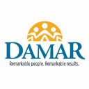 Damar Services, Inc. logo