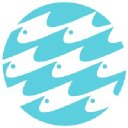 Company Logo or Photo