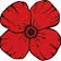 The Salty Cod; The Poppy & Parliament logo