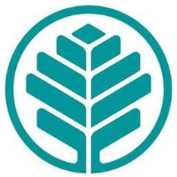 Company Logo or Photo