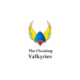 The Cleaning Valkyries logo