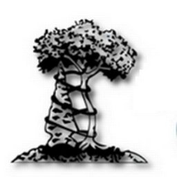 Arrowhead Orthopaedics logo
