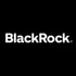 BlackRock Investments logo