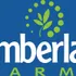 Cumberland Farms logo