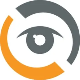 DigiStream Investigations logo