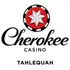 CHEROKEE NATION ENTERTAINMENT logo