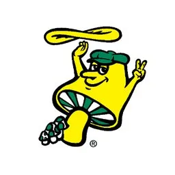 Mellow Mushroom Dunwoody logo