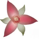 Wake Robin Corporation logo